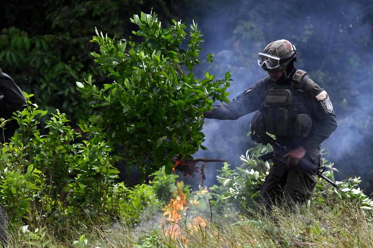 Ofensivas e negociações fracassam diante da expansão do narcotráfico na Colômbia