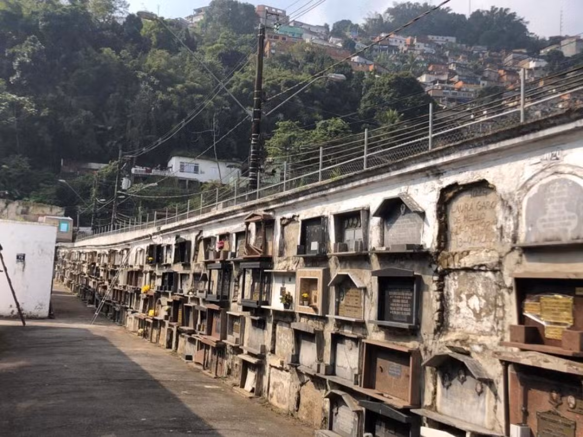 Santos define regras e valores para sepultamento de animais em cemitérios; confira
